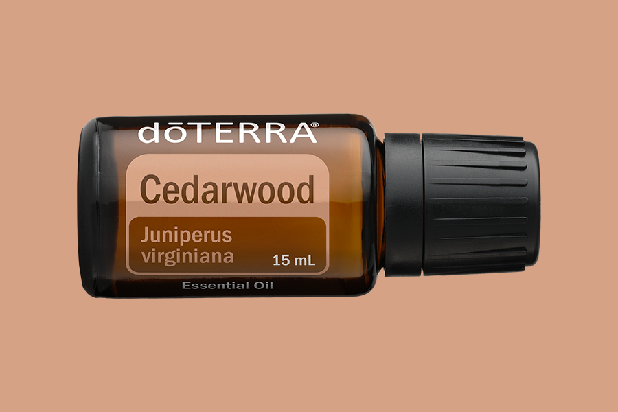 Cedarwood (Zeder)