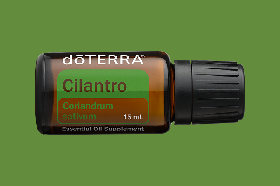 Cilantro (Koriandergrün)