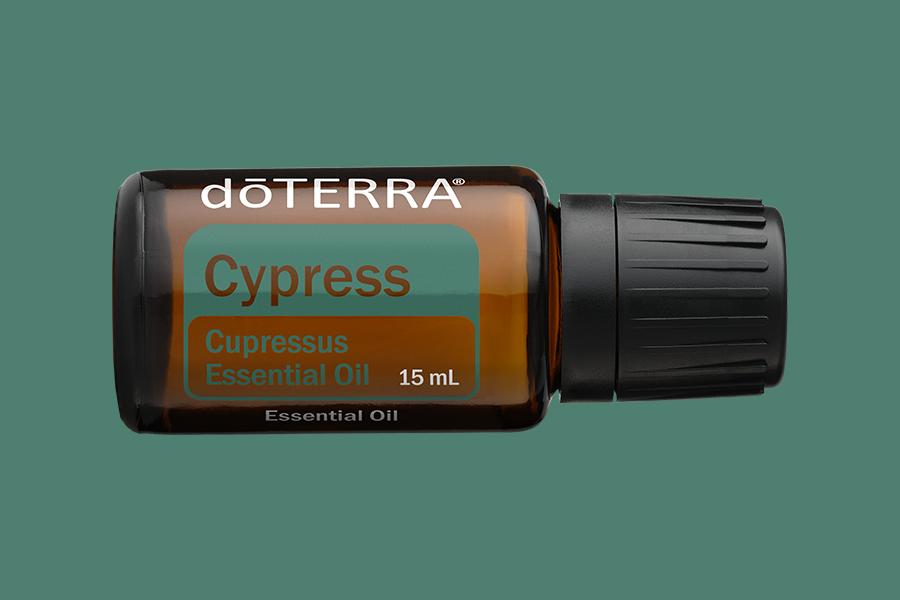 Cypress (Zypresse)
