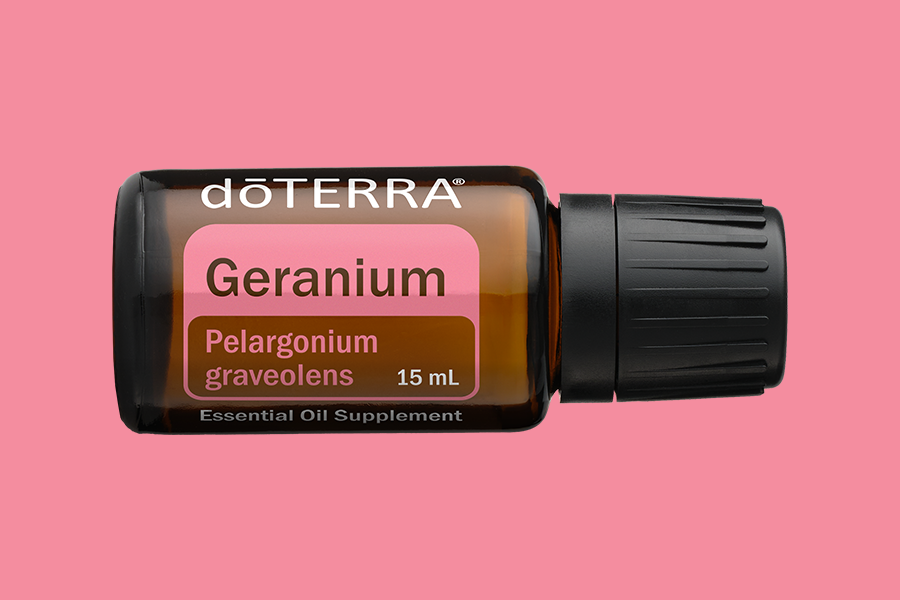 Geranium (Geranie)