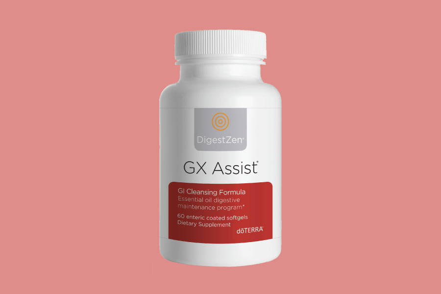 GX Assist™