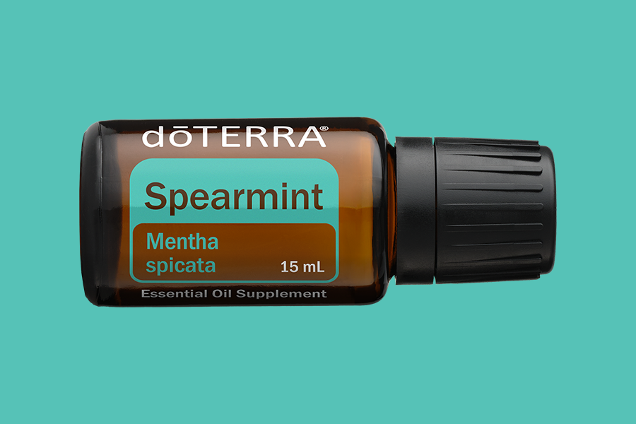 Spearmint (Grüne Minze)