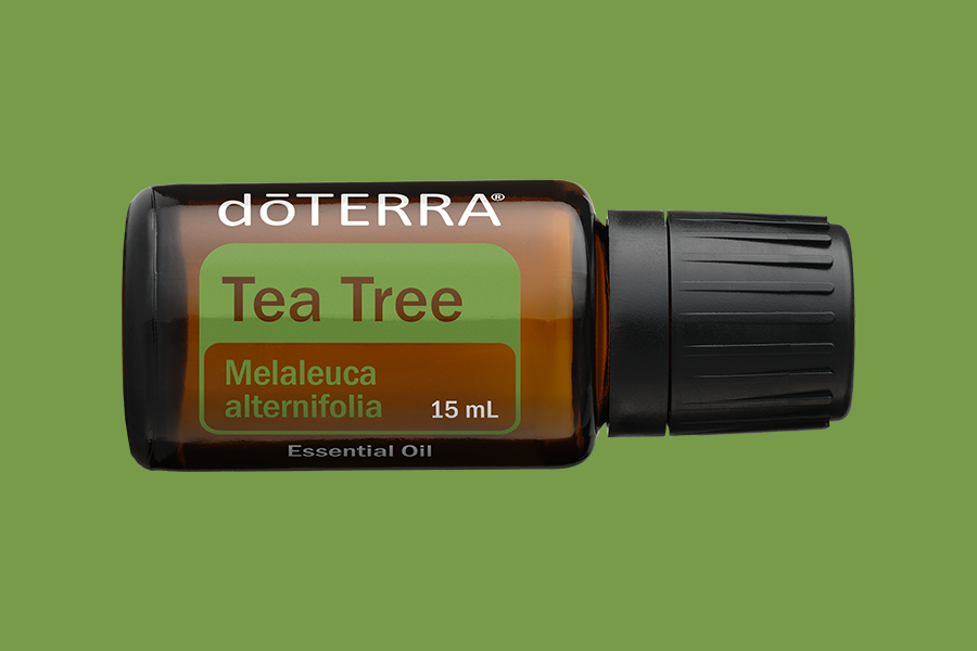 Tea Tree (Teebaum)